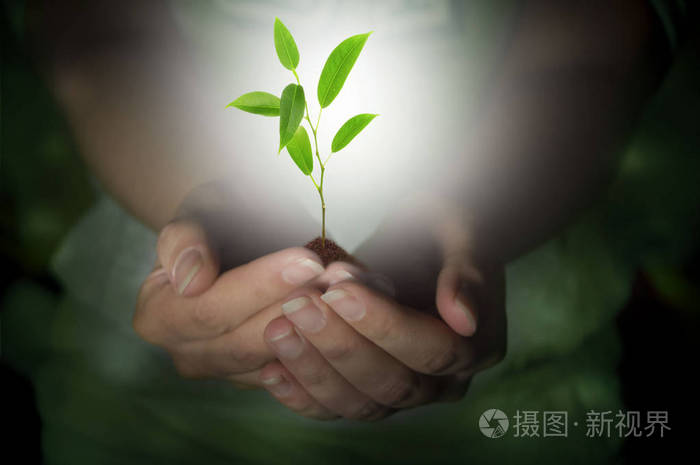 植物保护的手