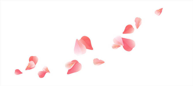 粉红色的红色飞行花瓣上白色孤立。樱花玫瑰花瓣。矢量