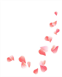 粉红色的红色飞行花瓣上白色孤立。樱花玫瑰花瓣。矢量