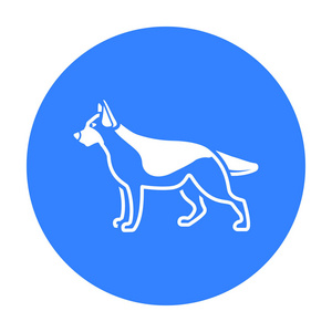 边境牧羊犬, 坑公牛, 微型纳瑞, 德国短毛指针.