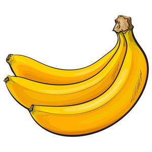 串三个未开封, 未剥皮成熟香蕉,素描矢量图照片