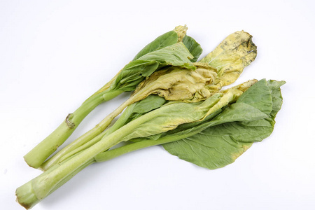 甜瓜收获的遗骸. 田间腐烂的蔬菜成堆的腐烂的西瓜.