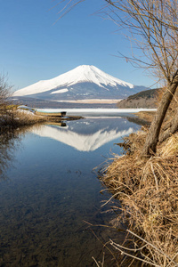 冬山富士山中湖