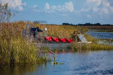 乘船游览通过沼泽在大沼泽地国家公园，弗洛
