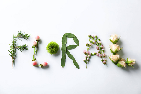 字花制成的植物