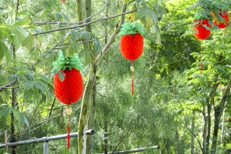 春节期间花园里的中国灯笼图片