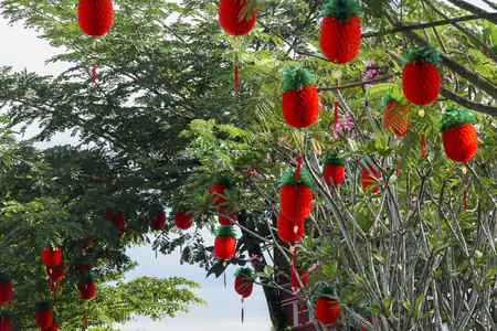 春节期间花园里的中国灯笼图片