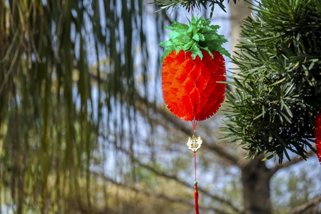 春节期间花园里的中国灯笼