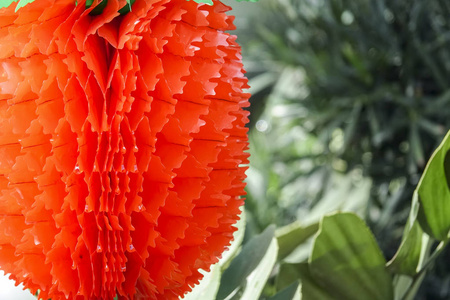 春节期间花园里的中国灯笼图片