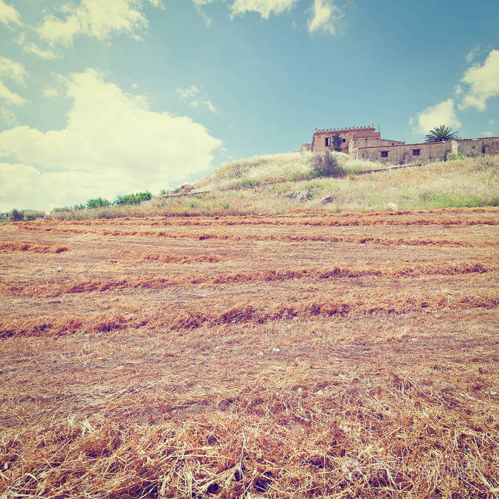在西西里岛山上收割后的田地