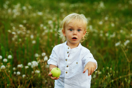 青苹果在大自然中的小男孩