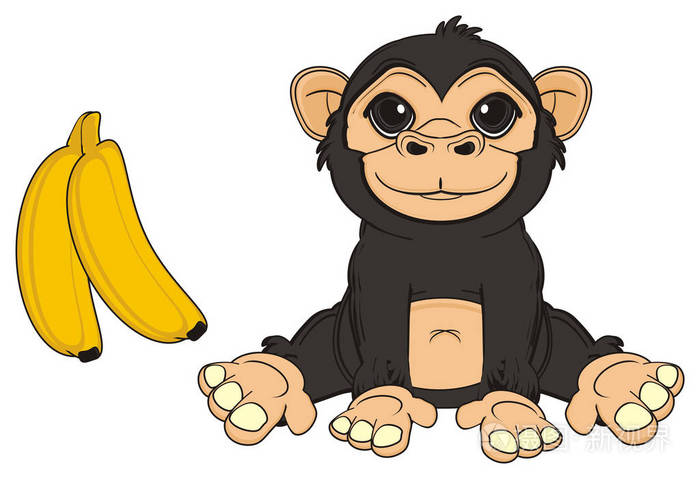 可爱的黑猴子