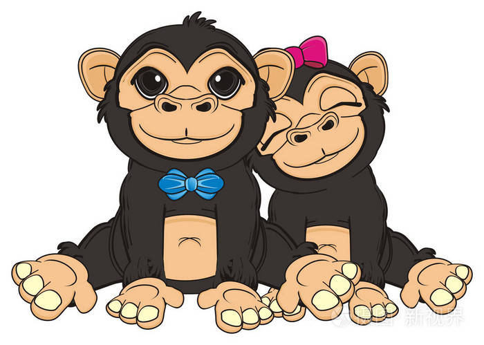 可爱的黑猴子