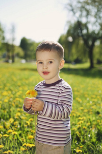 在春天蒲公英草地上的小男孩