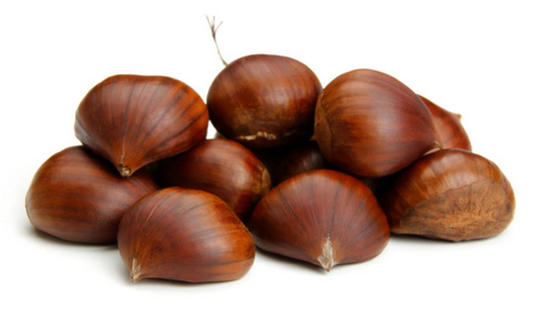 simplicity白板栗照片