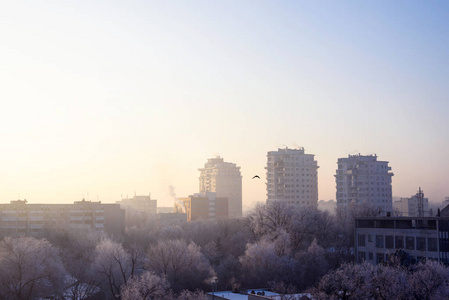 基希讷乌城市的冰冻清晨观图片