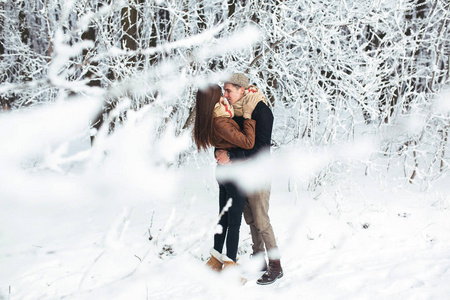 幸福的夫妇在雪园
