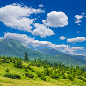 绿色山山谷风景