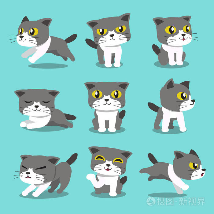 卡通猫的姿势字符集