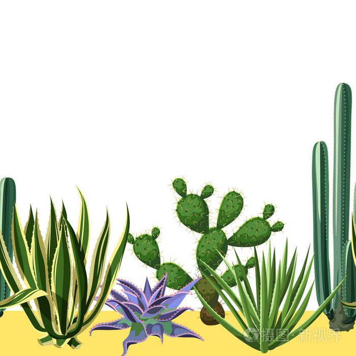 植物的沙漠插画-正版商用图片0wwqiw-摄图新视界