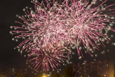 节日 明亮的烟花在夜空中