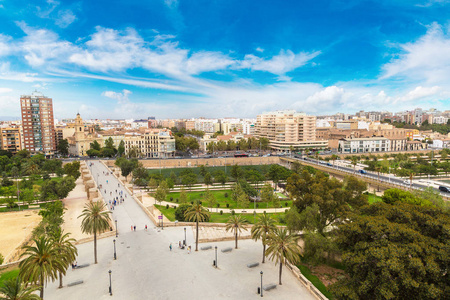 在 Valencia 图里亚花园