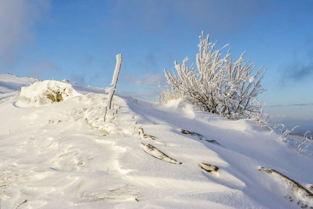 在 Bieszczady 山，南波兰东部山冬景