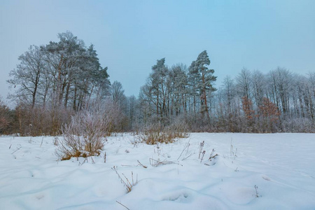 波兰农村冬季多雾景观