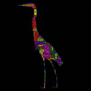 鸟的排版词云多彩矢量图