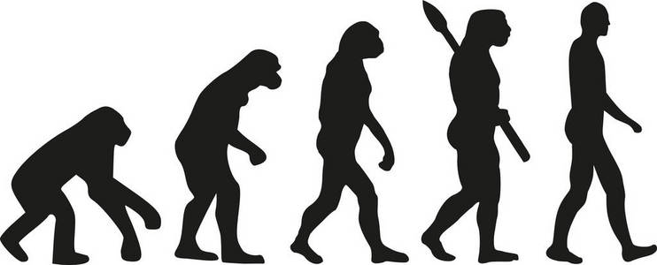 达尔文进化的人类