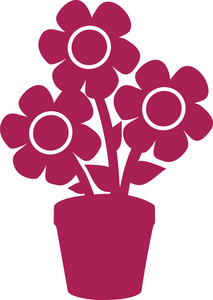 三朵美丽的花图片