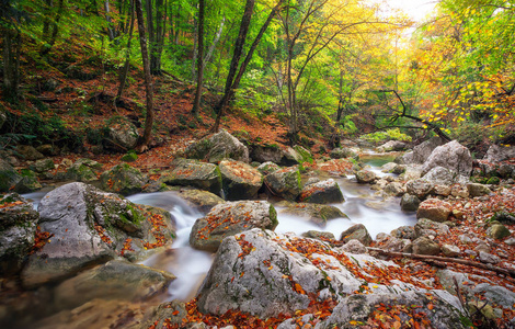 美丽的秋天风景山区河流与多彩树