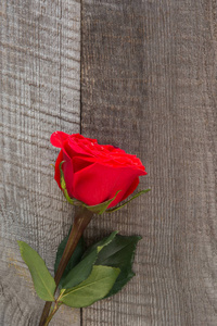 情人节礼物卡。在木桌特写的红玫瑰。顶视图