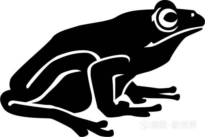 真正的青蛙蟾蜍