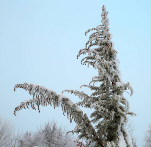 冬季和寒冷季节的自然冬季景观和设施照片