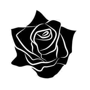 白色背景上的玫瑰剪影孤立的图