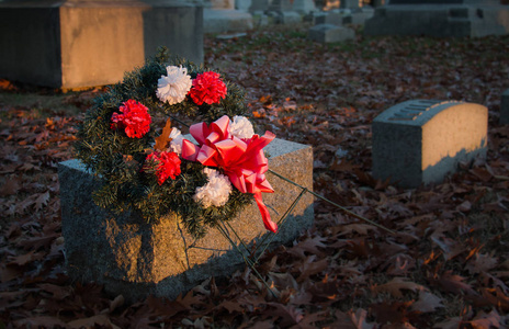公墓的花朵图片