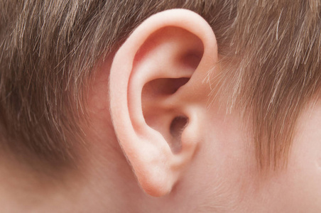 宝宝关门宝宝耳朵的关门照片