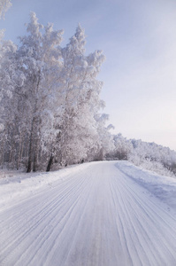 冬天俄罗斯森林雪路