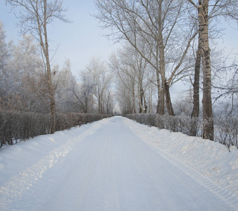 冬天俄罗斯森林雪路