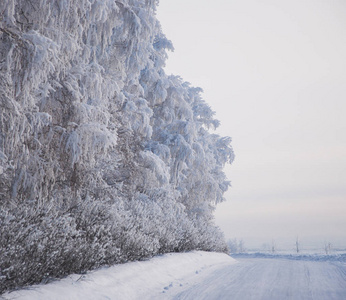 冬天俄罗斯森林雪路