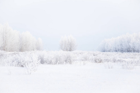 冬季森林自然雪域景观室外背景