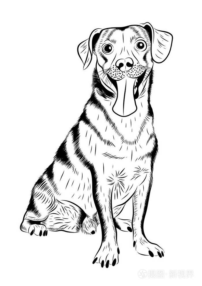 矢量手绘素描人像的可爱的小狗插画