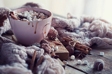 圣诞节或新年组成与热巧克力或可可粉