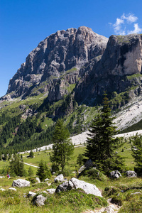 观的苍白圣马蒂诺，意大利多洛米蒂山在特伦蒂诺