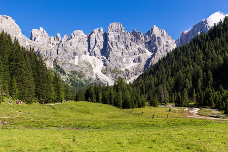 夏天与苍白圣马蒂诺在背景的 Val Venegia 视图。白云岩，意大利北部