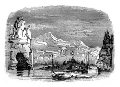阿德利企鹅，发现 1840 年 2 月 21 日，复古雕刻