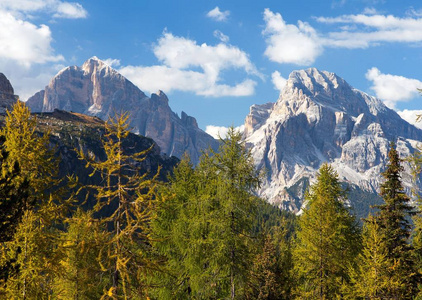 落叶松木材和 Le Tofane 集团，Dolomiti，意大利