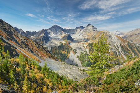 美丽的秋景，阿尔泰山俄罗斯