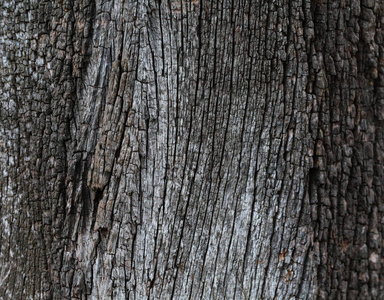 老图片背景的木材 自然等方面的综合颜色